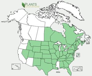 USDA, NRCS. 2012. The PLANTS Database (http://plants.usda.gov, 5 October 2012). National Plant Data Team, Greensboro, NC 27401-4901 USA. 
