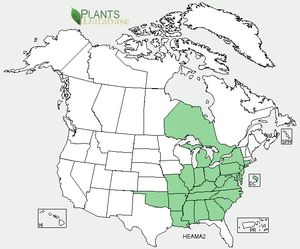 USDA, NRCS. 2012. The PLANTS Database (http://plants.usda.gov, 8 October 2012). National Plant Data Team, Greensboro, NC 27401-4901 USA.
