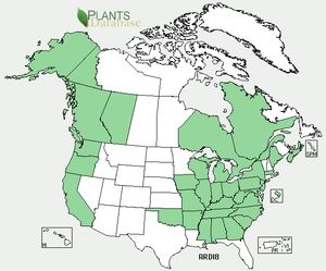 USDA, NRCS. 2012. The PLANTS Database (http://plants.usda.gov, 5 October 2012). National Plant Data Team, Greensboro, NC 27401-4901 USA.