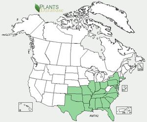 USDA, NRCS. 2012. The PLANTS Database (http://plants.usda.gov, 4 October 2012). National Plant Data Team, Greensboro, NC 27401-4901 USA.